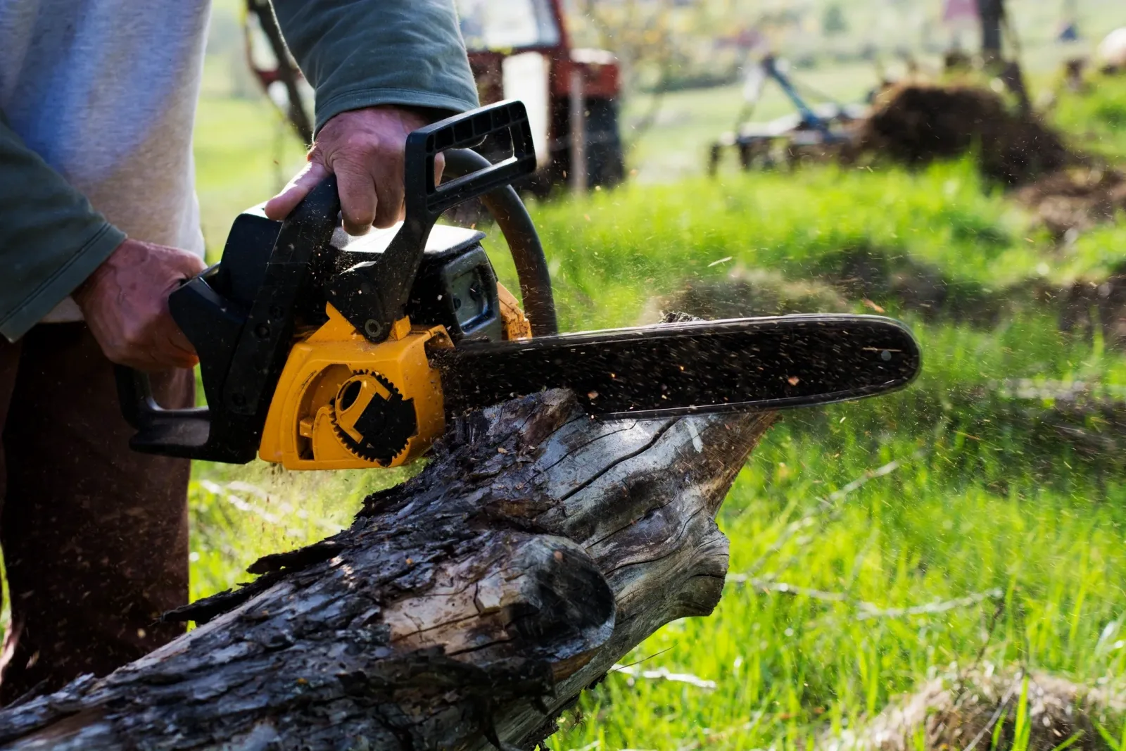 Tree Pruning & Trimming