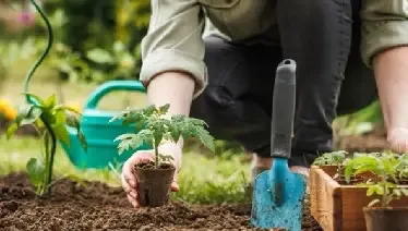 Property & Space Cleanout Services