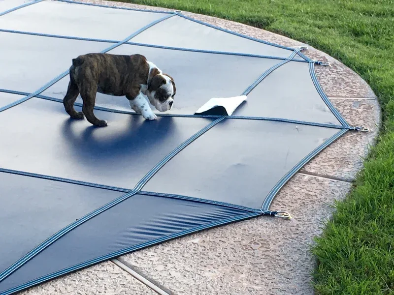 A Safe Pool project photo