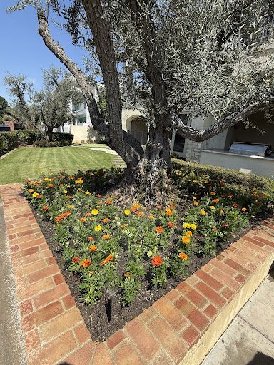 Residential Landscape Maintenance