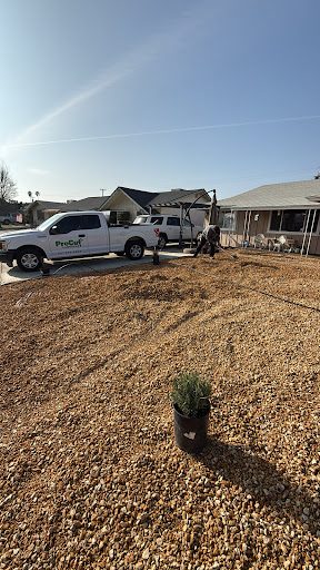 Pro Cut Landscape project photo