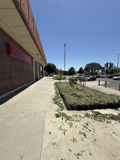 Pro Cut Landscape project photo