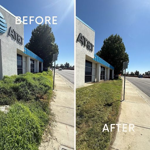 Pro Cut Landscape project photo
