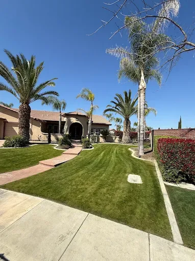 Sod Installation