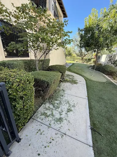 Cleanups & Property Restoration