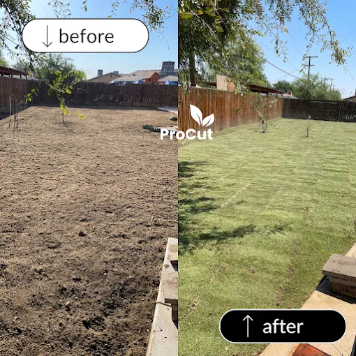 Sod Installation