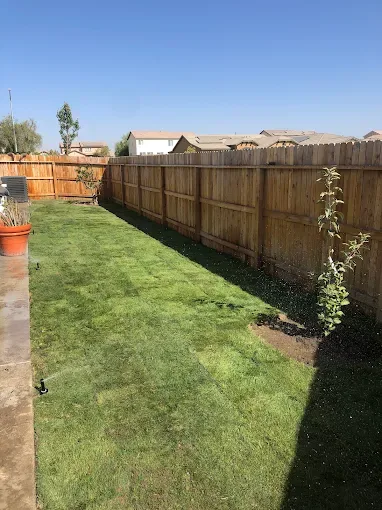 Sod Installation