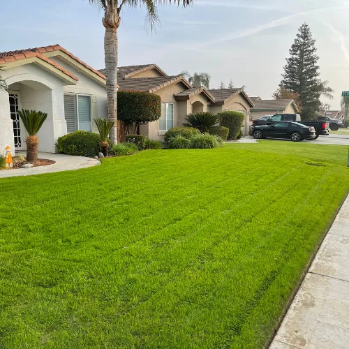 Sod Installation