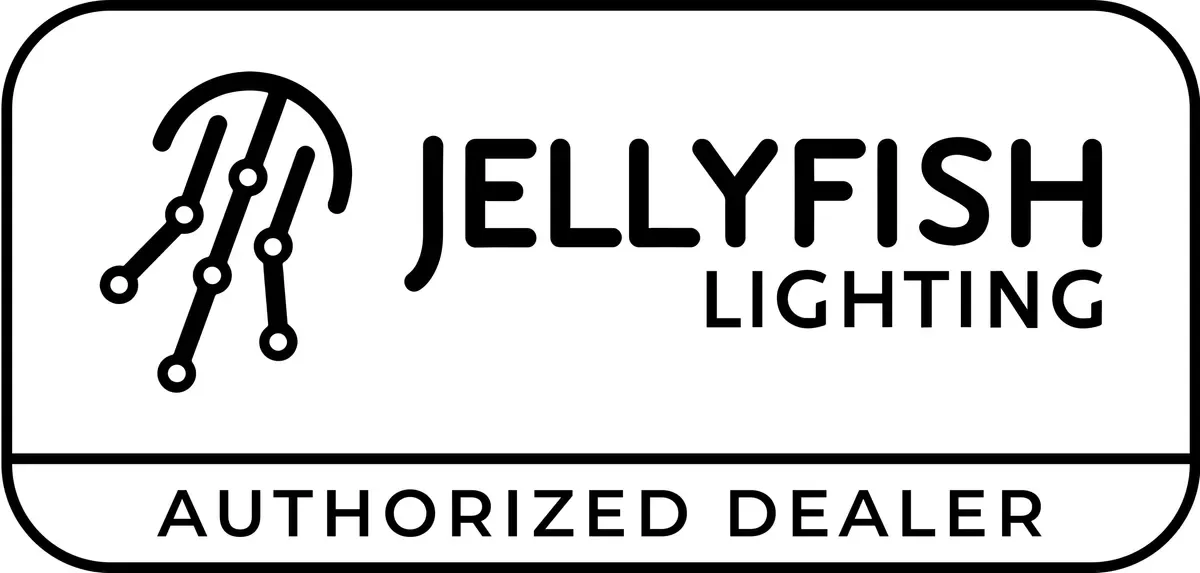 JellyFish Permanent Lighting