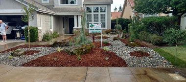 Landscape Design
