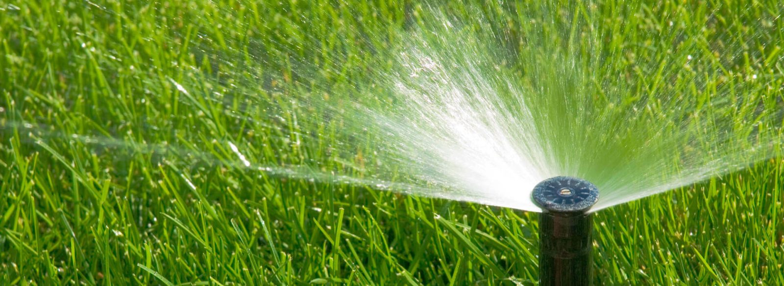 Irrigation & Drainage