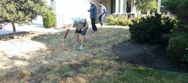 Anderson Landscaping project photo