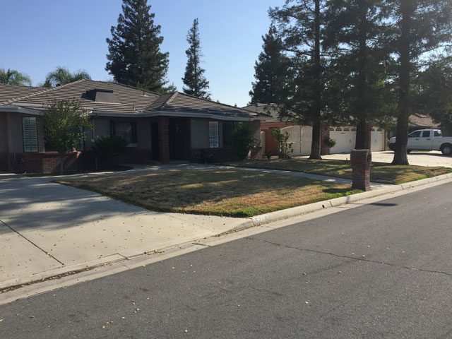 Anderson Landscaping project photo