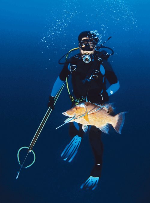 Underwater Hunting and Collection Certification Course