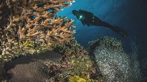 California Scuba Center project photo
