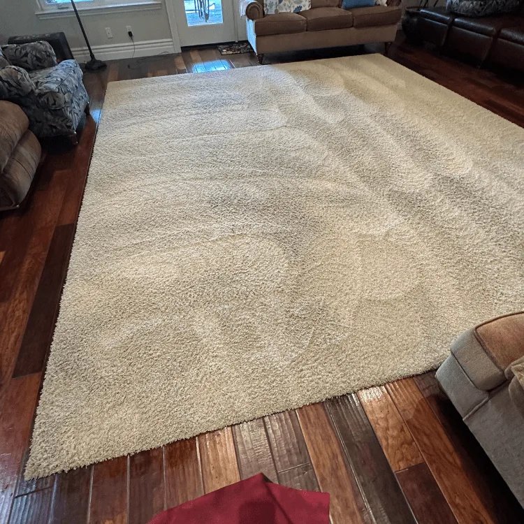 Complete Carpet And Tile Cleaning project photo