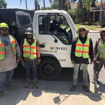 General Clean-Ups & Hauling