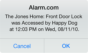 Easy Access — Door Locks & Garage Control